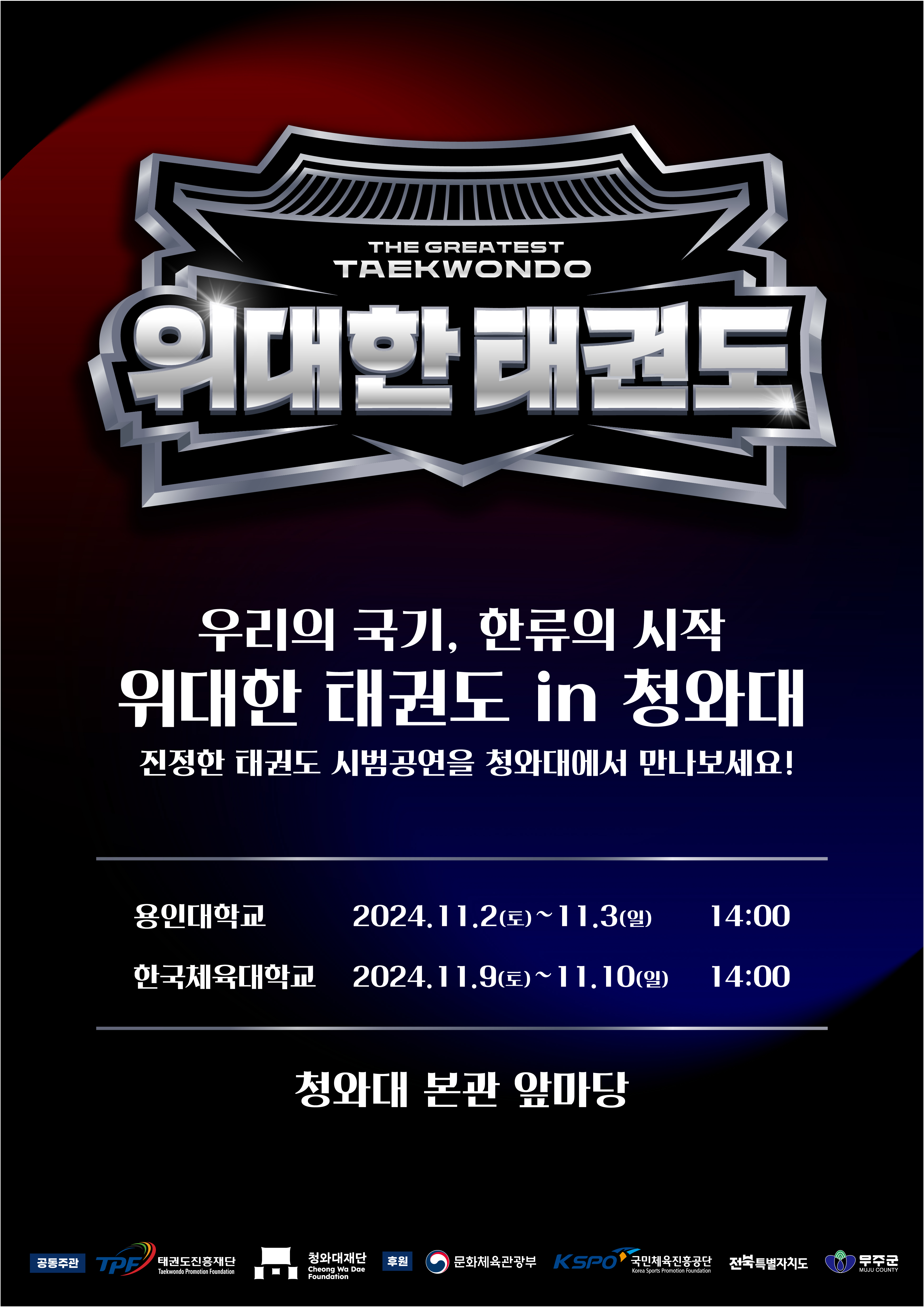 위대한 태권도 IN 청와대 미리보기 이미지